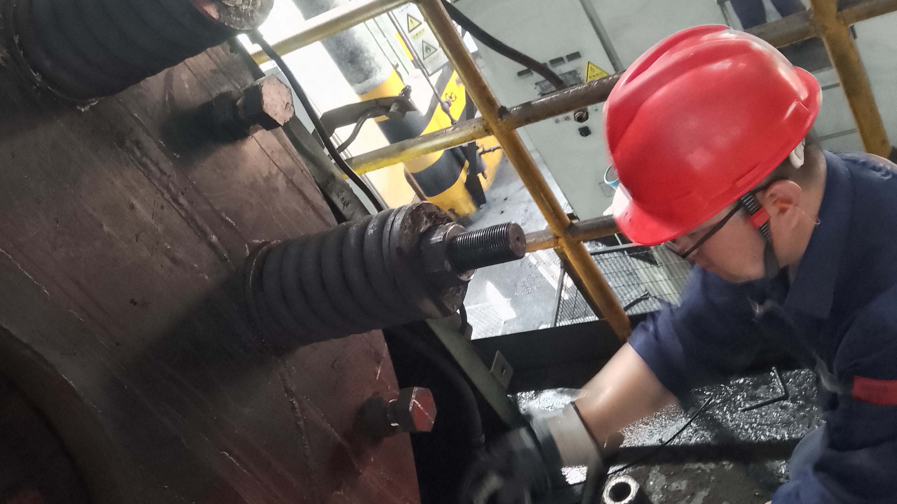 IMG_20250718_094115.jpg IMG_20250718_094115.jpg